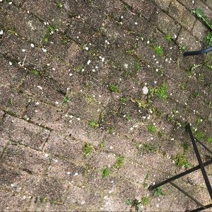 Meet your Posher, Gretchen